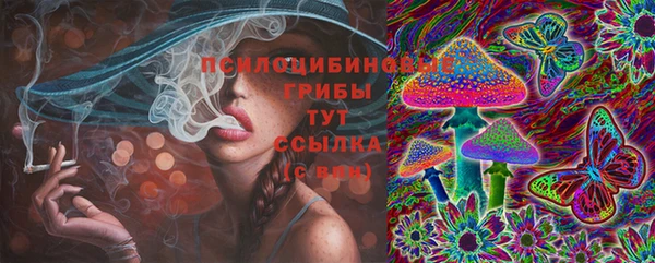 сатива Осташков