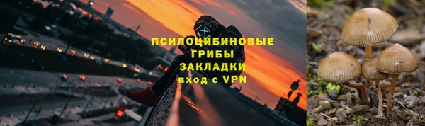 гидропоника Осинники