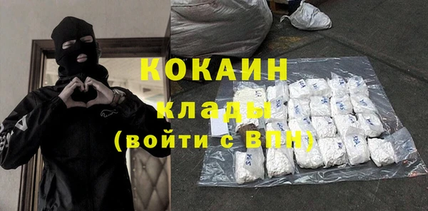 сатива Осташков