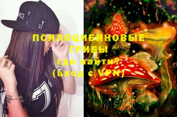 сатива Осташков