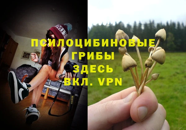 гидропоника Осинники