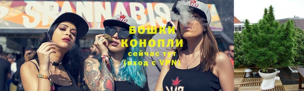 сатива Осташков