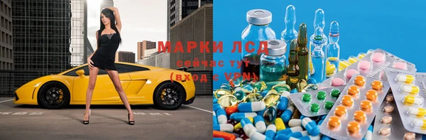 сатива Осташков