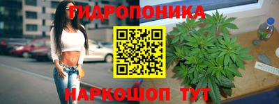 a pvp Берёзовский