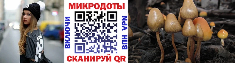 Псилоцибиновые грибы Magic Shrooms  Казань 