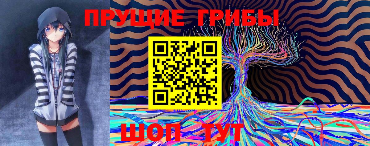Галлюциногенные грибы прущие грибы Казань