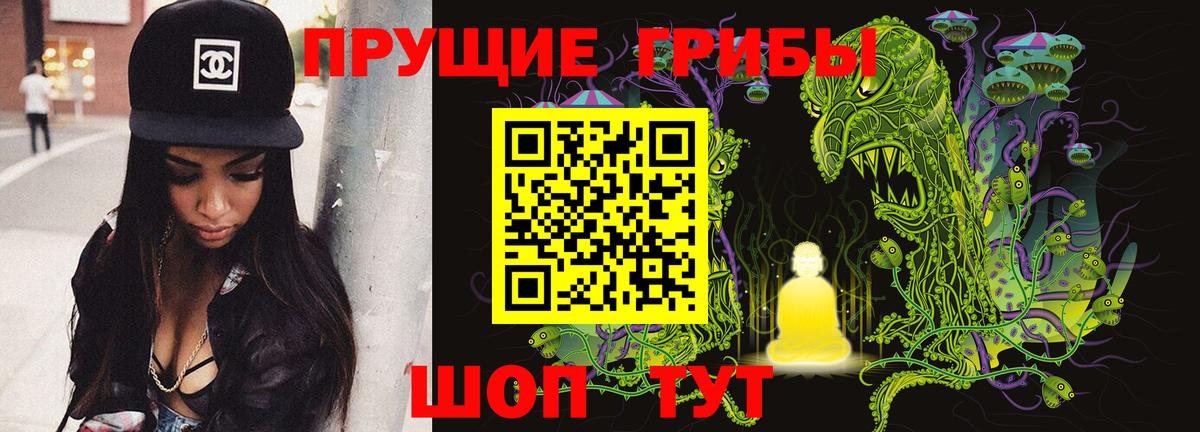 Казань  Галлюциногенные грибы GOLDEN TEACHER  Вход с VPN 